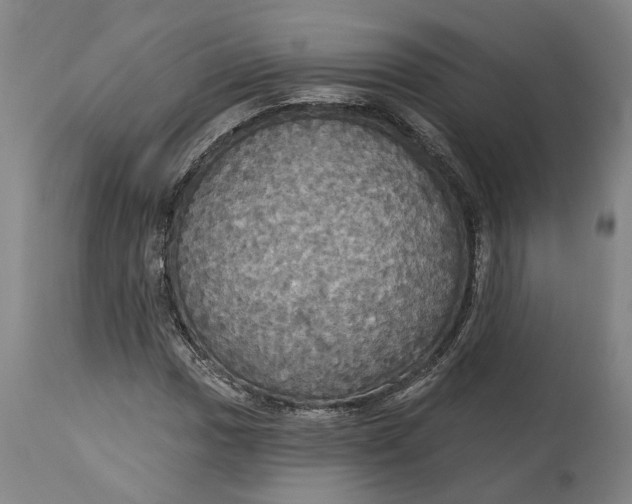 X0000115091017200911171212