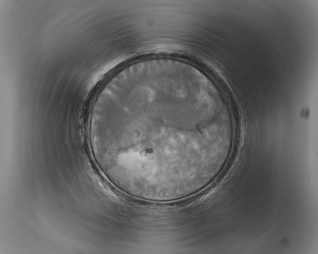 X0000115091018200911171212