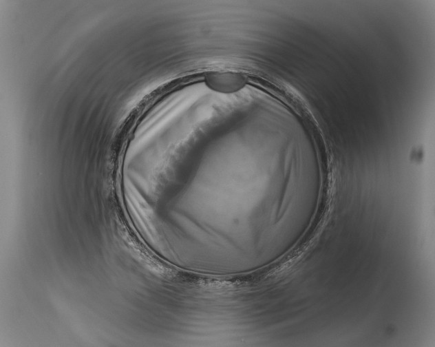 X0000115091019200911171212
