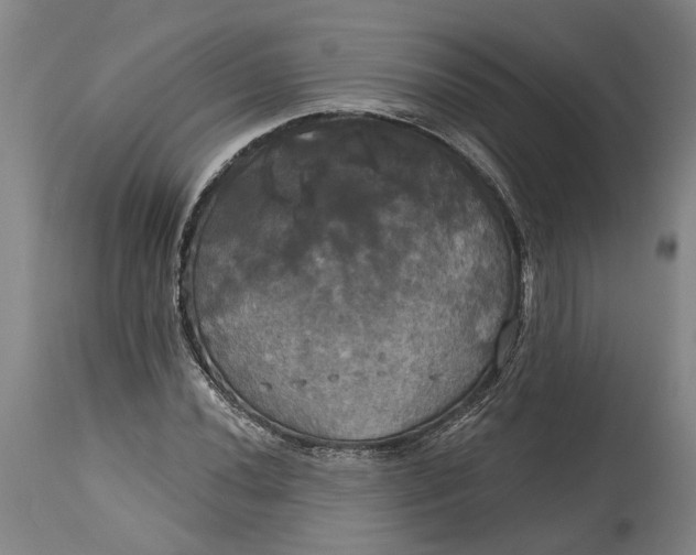 X0000115091020200911171212