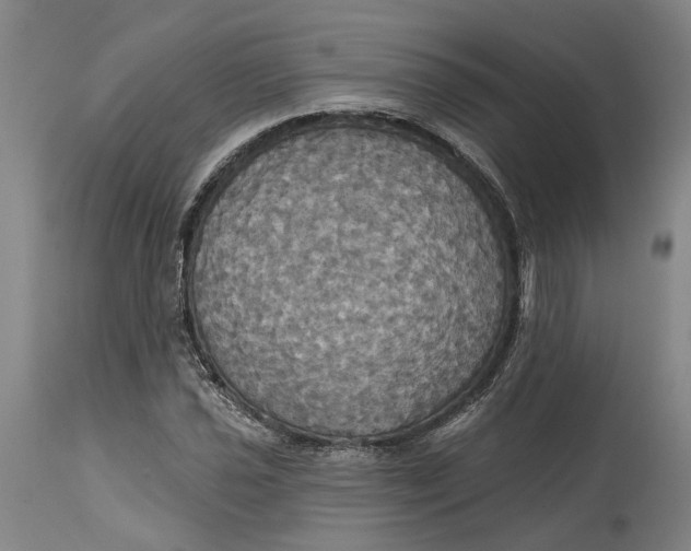 X0000115091021200911171212