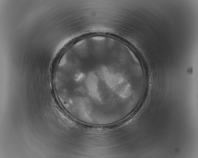 X0000115091022200911171212