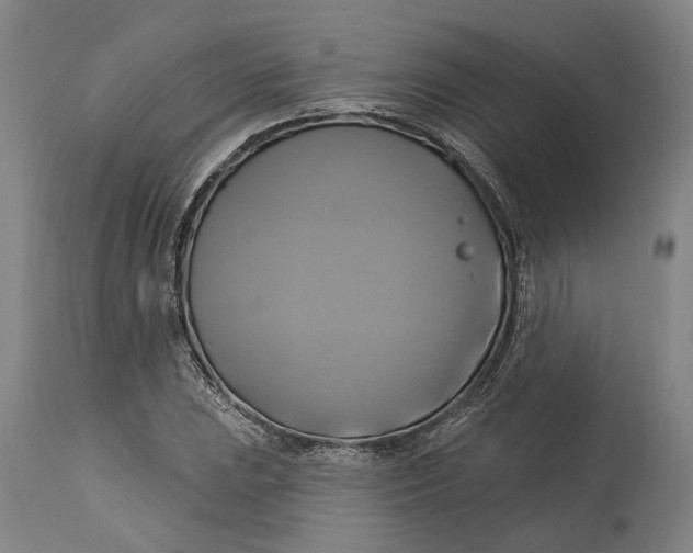 X0000115091023200911171212