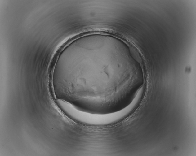 X0000115091024200911171212