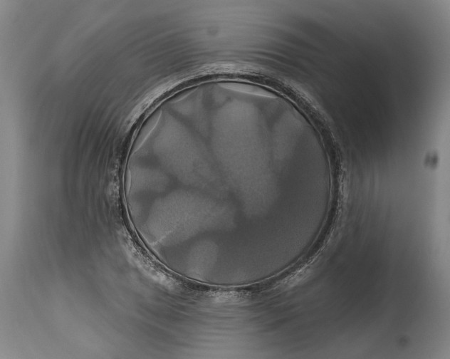 X0000115091025200911171212