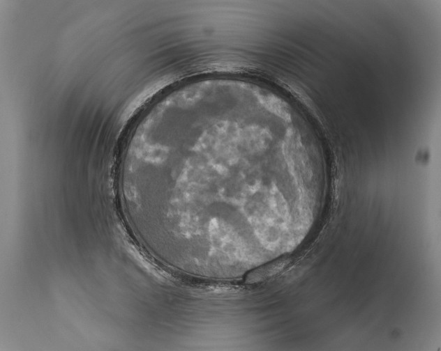X0000115091026200911171212