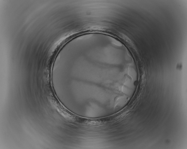 X0000115091027200911171212