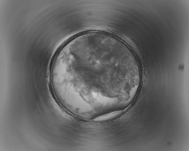 X0000115091028200911171212