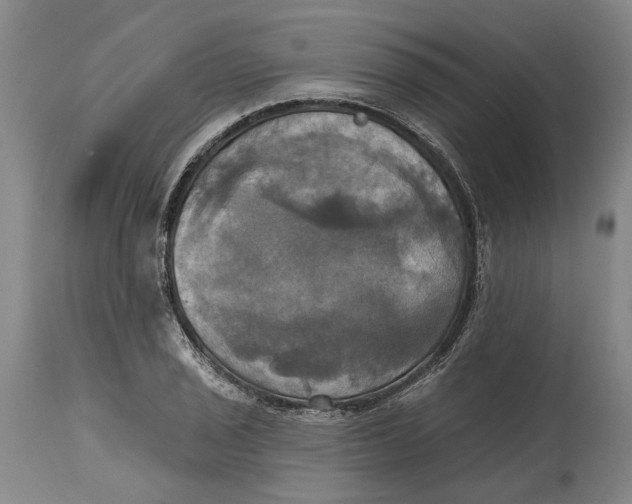 X0000115091029200911171212