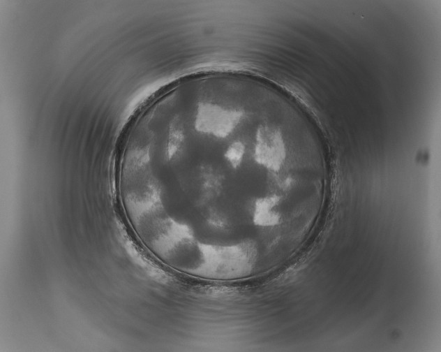 X0000115091030200911171212