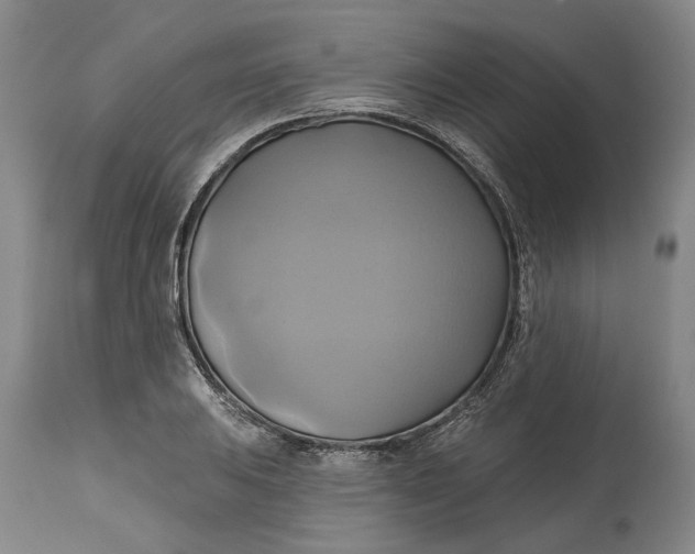 X0000115091031200911171212