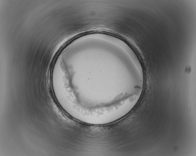 X0000115091032200911171213