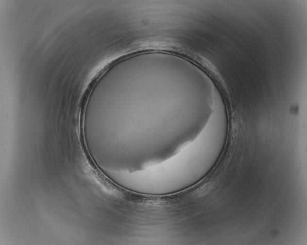 X0000115091035200911171213