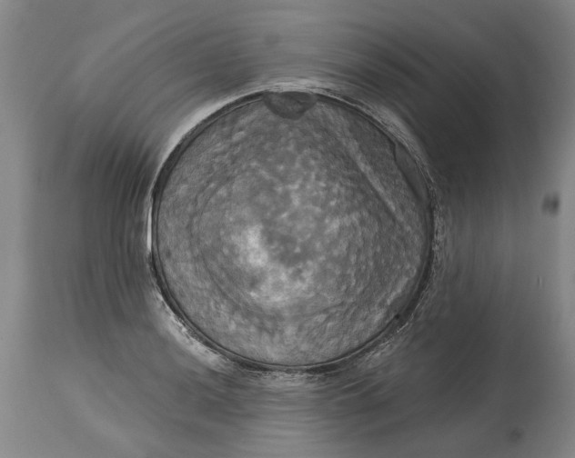 X0000115091036200911171213