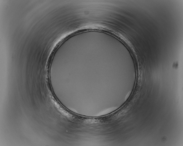 X0000115091037200911171213