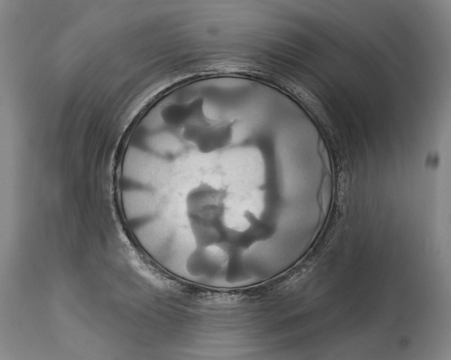 X0000115091039200911171213