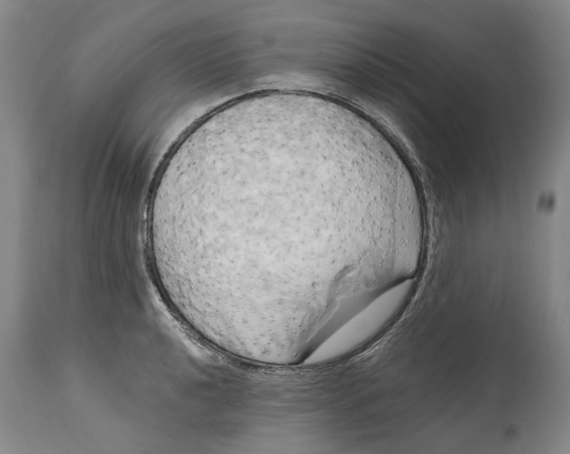 X0000115091040200911171213