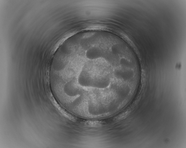 X0000115091041200911171213