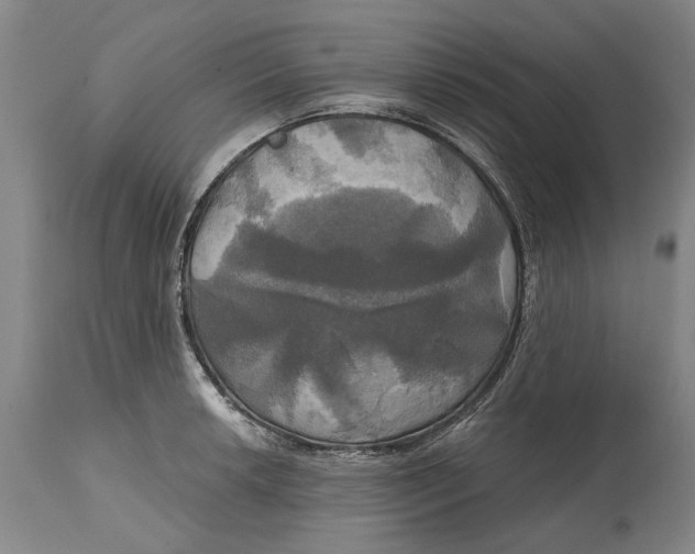 X0000115091042200911171213