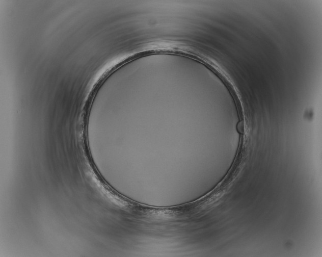 X0000115091045200911171213