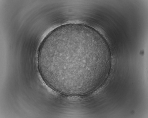 X0000115091046200911171213