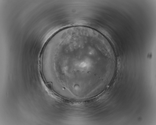 X0000115091047200911171213