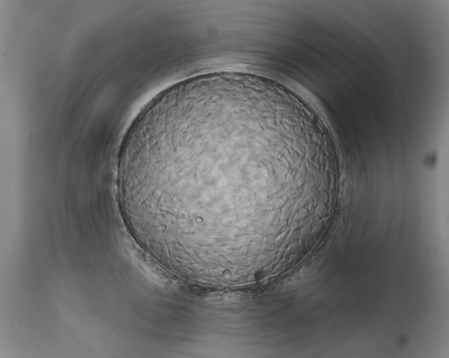 X0000115091051200911171213
