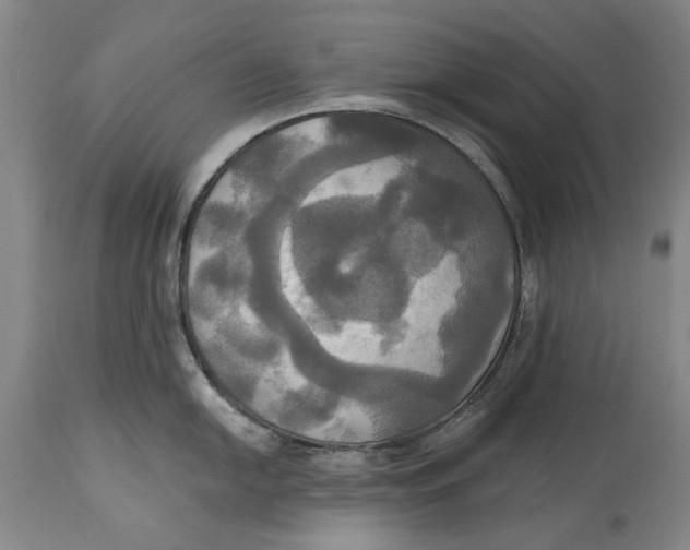 X0000115091054200911171213