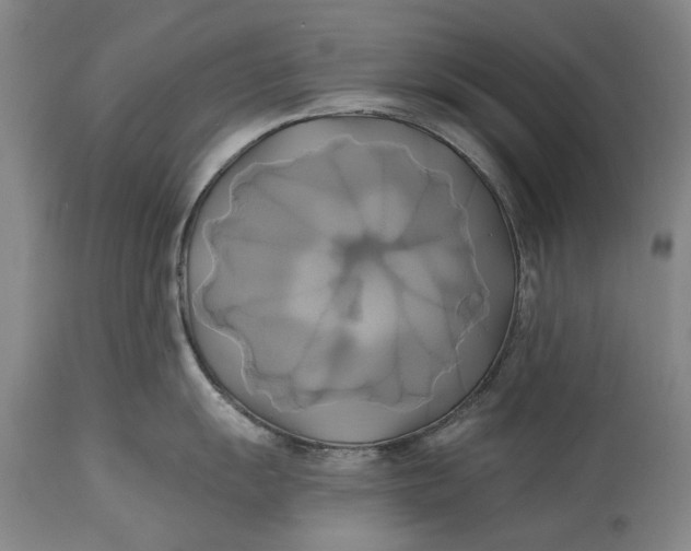 X0000115091055200911171213