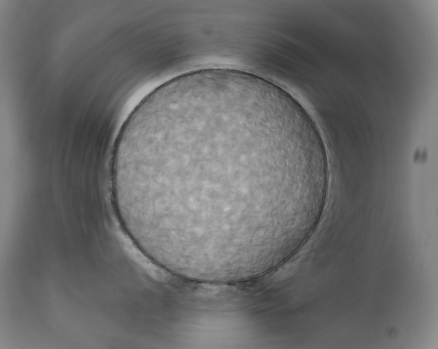 X0000115091056200911171213