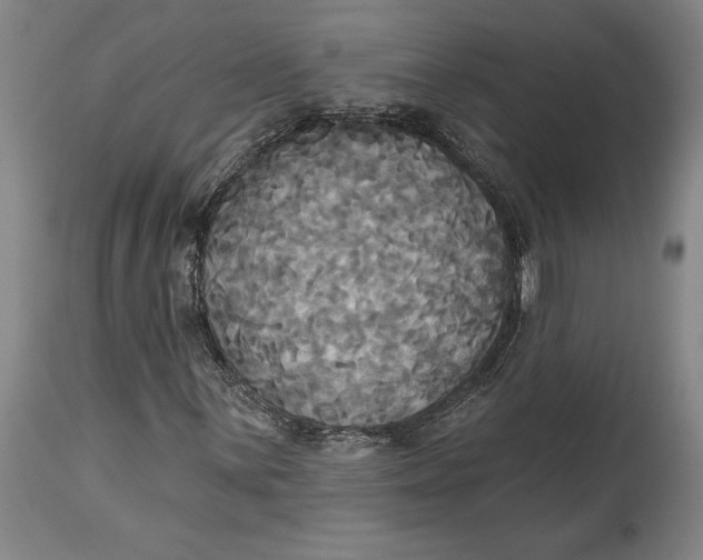 X0000115091059200911171212