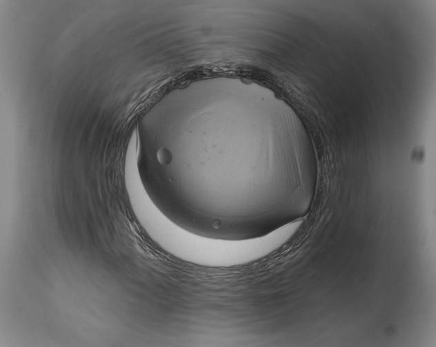 X0000115091060200911171212