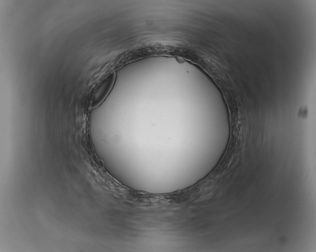 X0000115091061200911171212