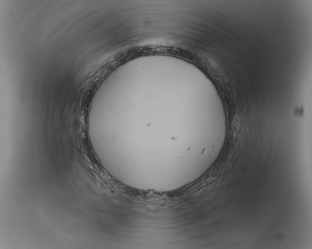 X0000115091062200911171212