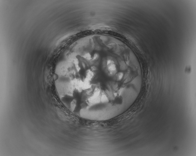 X0000115091063200911171212