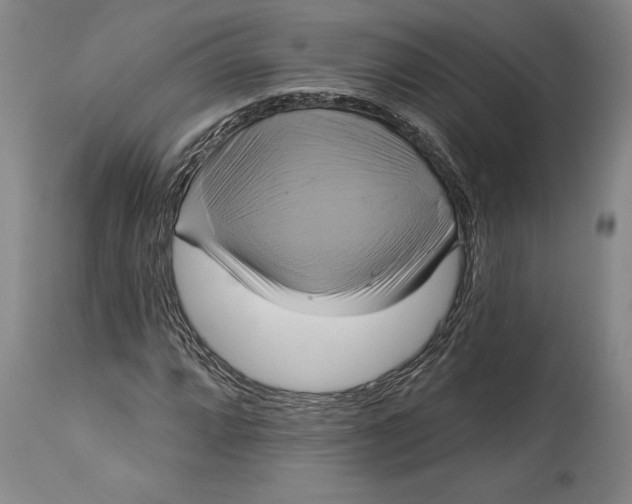 X0000115091064200911171212