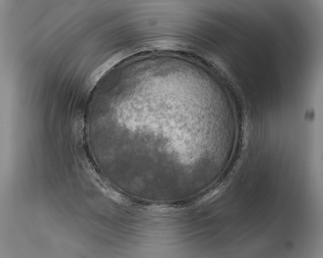 X0000115091065200911171212
