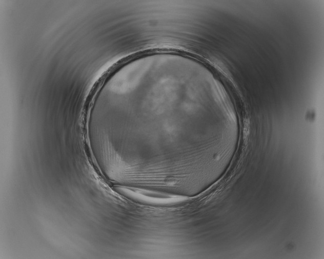 X0000115091068200911171212
