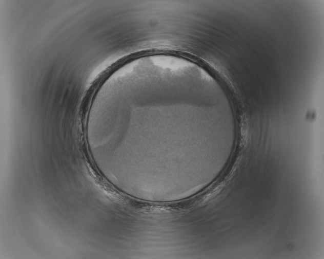 X0000115091070200911171212