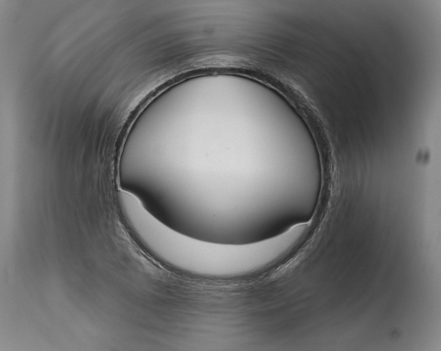 X0000115091073200911171212