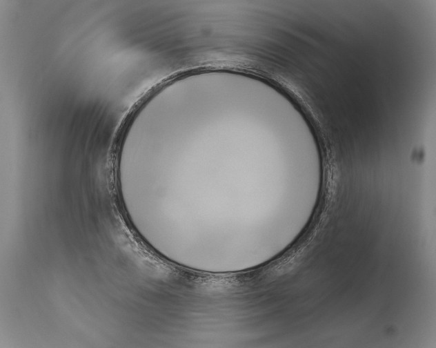 X0000115091074200911171212