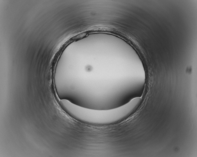 X0000115091075200911171212