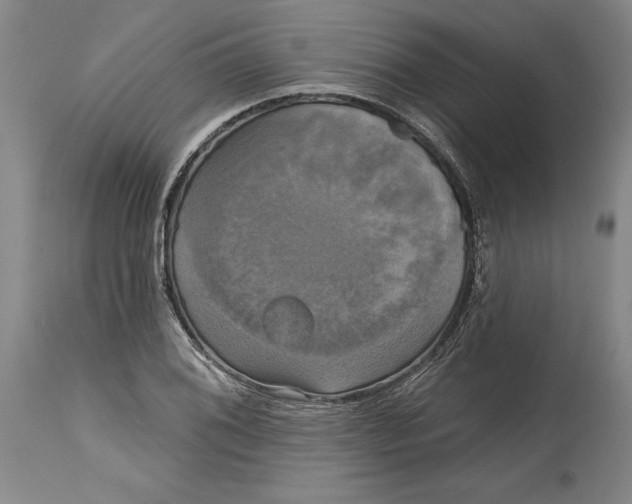 X0000115091076200911171212
