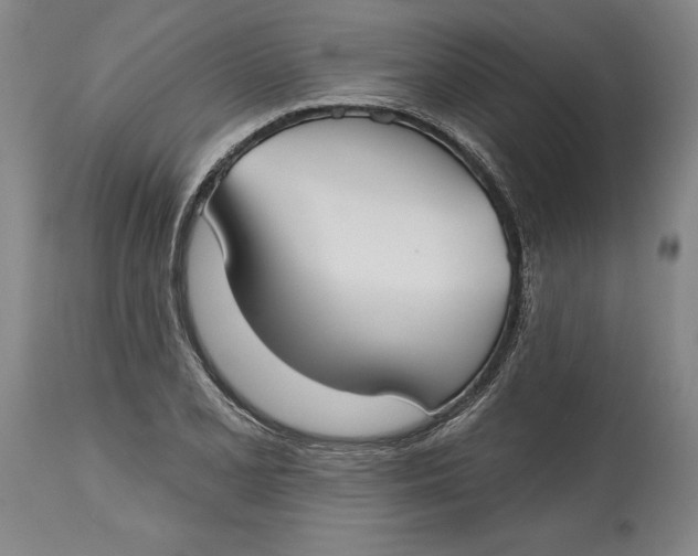 X0000115091077200911171212