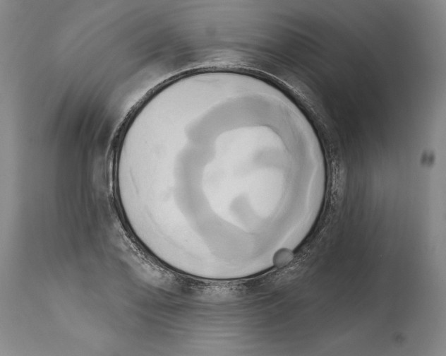 X0000115091078200911171212