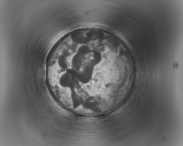 X0000115091079200911171212