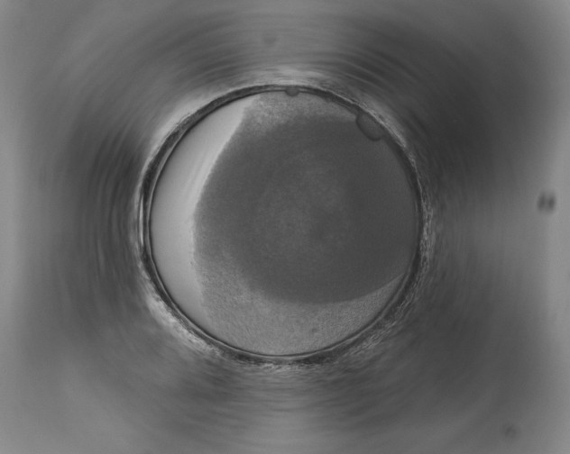 X0000115091080200911171212