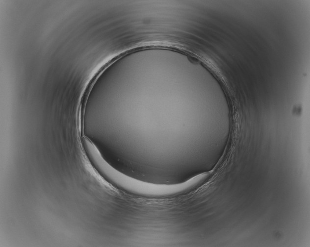 X0000115091084200911171212