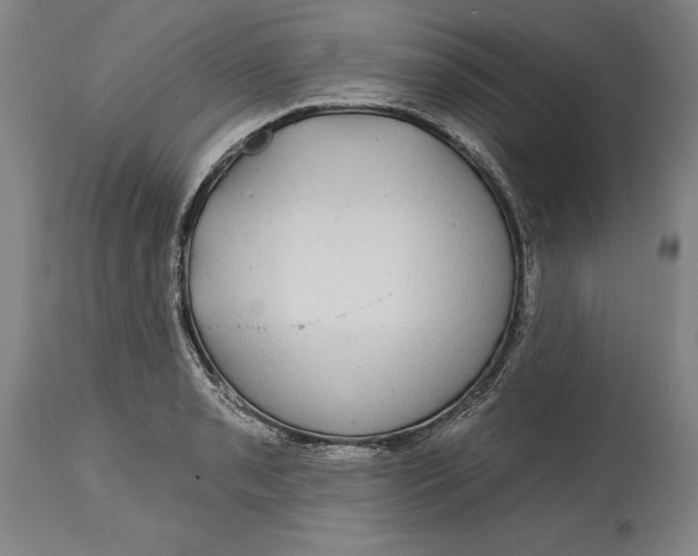 X0000115091085200911171212
