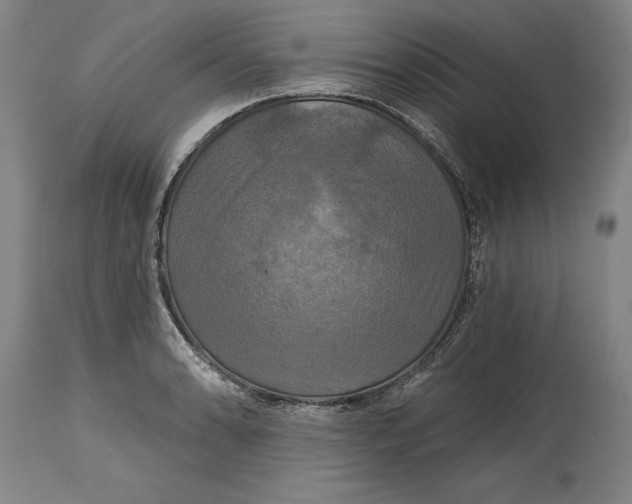 X0000115091086200911171212